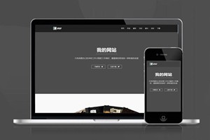 酷黑 酷炫个人博客简介单页面HTML5 推广 软件下载 着陆页 落地页 引导页