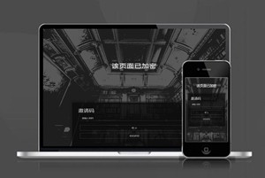加密页面 密码访问 下载页 APP导航 推广 软件下载 着陆页 落地页 引导页