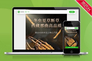 冬虫夏草 药材 简介 单页 HTML5 推广 软件下载 着陆页 落地页 引导页【带后台】